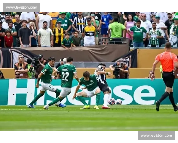 焦点之战！女足世界排名，关乎荣誉与未来