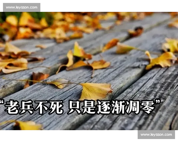 退役宣言，老兵不死，只是悄然凋零英魂之刃！