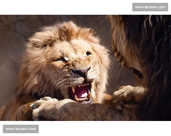 辛巴逆袭传奇揭示草原王者成长历程与命运抉择之旅