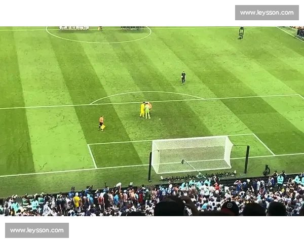 球迷集体回忆杀！虚拟世界杯复刻经典瞬间，感动无数人