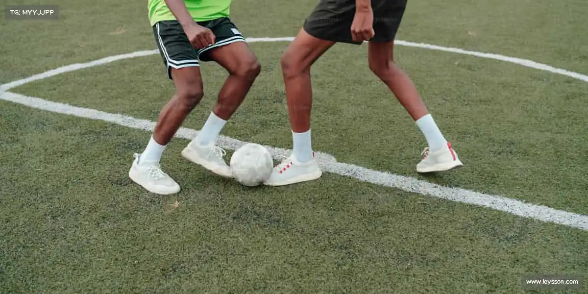 行业领先的理由